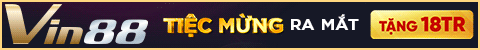 top banner